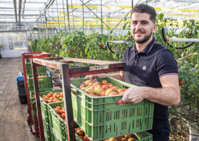 ‘Deze tomaat geeft ons onderscheidend vermogen in de markt’
