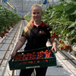 ‘Consument bepaalt uiteindelijk of een aardbei in de smaak valt’