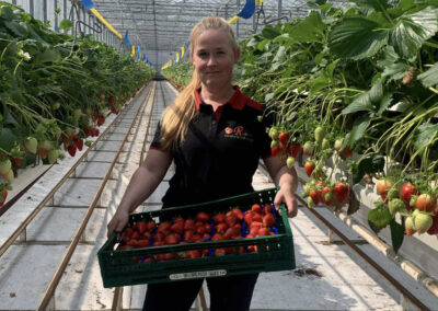 ‘Consument bepaalt uiteindelijk of een aardbei in de smaak valt’