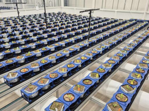 Brede aanpak om ondergrondse ziekten te monitoren