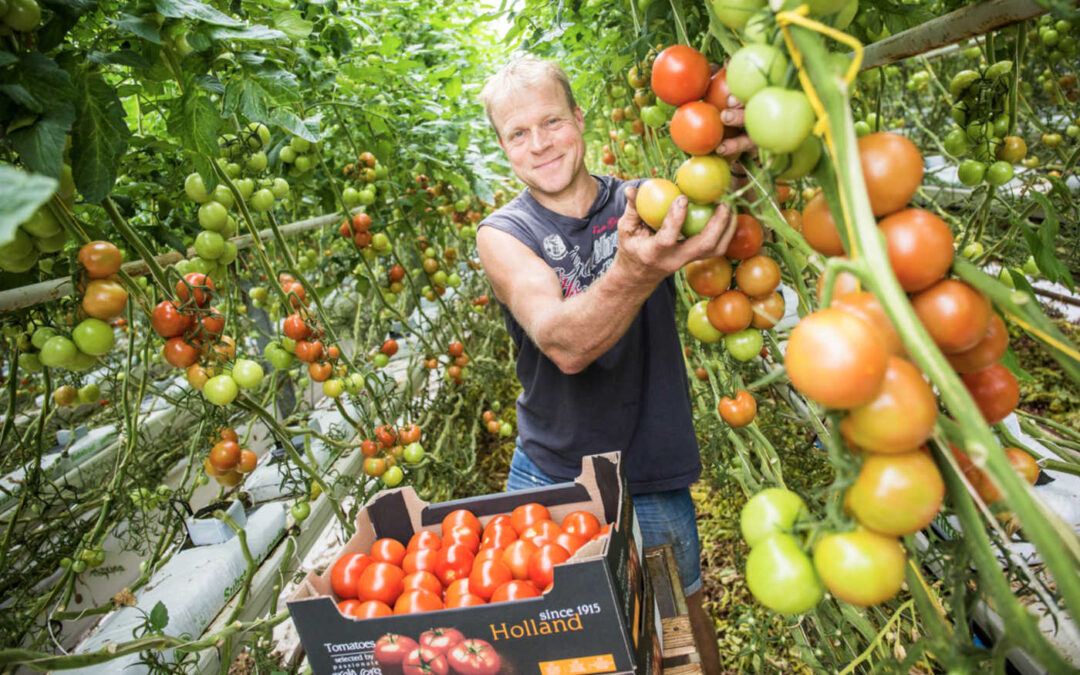 ‘De 300 ton restafval is nu perfecte biomassa voor de buurman’