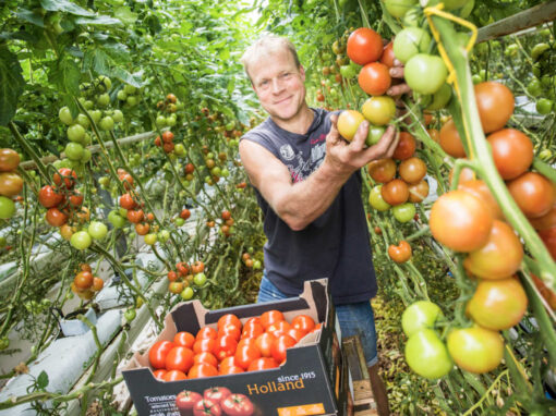 ‘De 300 ton restafval is nu perfecte biomassa voor de buurman’