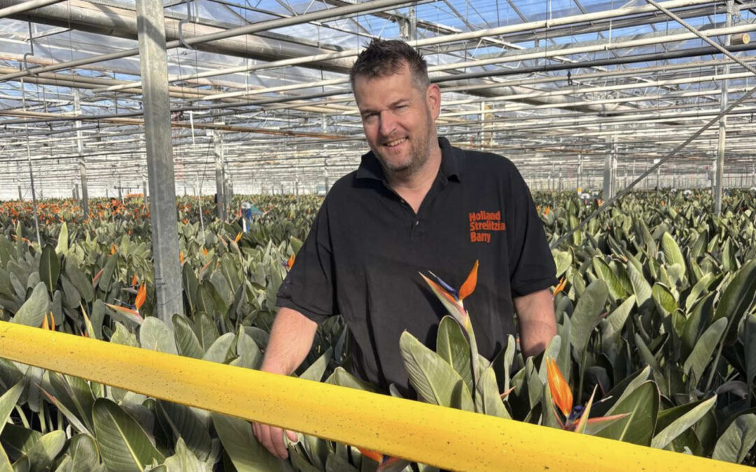 ‘Met horizontaal gespannen linten vangen we de motten weg’