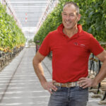 ‘Met VYNYTY Tuta Press en Macrolophus houd ik Tuta 100% onder controle’