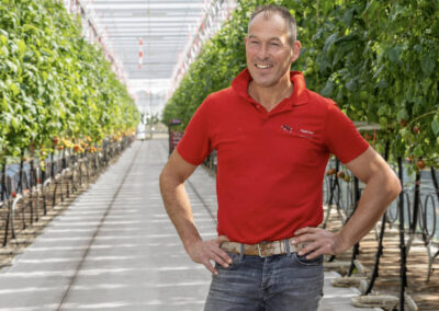 ‘Met VYNYTY Tuta Press en Macrolophus houd ik Tuta 100% onder controle’