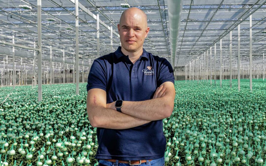 ‘Pluischrysant kan onze uitbreiding in de markt wel aan’