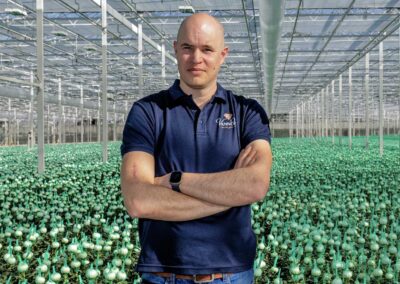 ‘Pluischrysant kan onze uitbreiding in de markt wel aan’