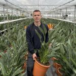 Paradijsvogelbloem scoort hoog in de aanloop naar Moederdag
