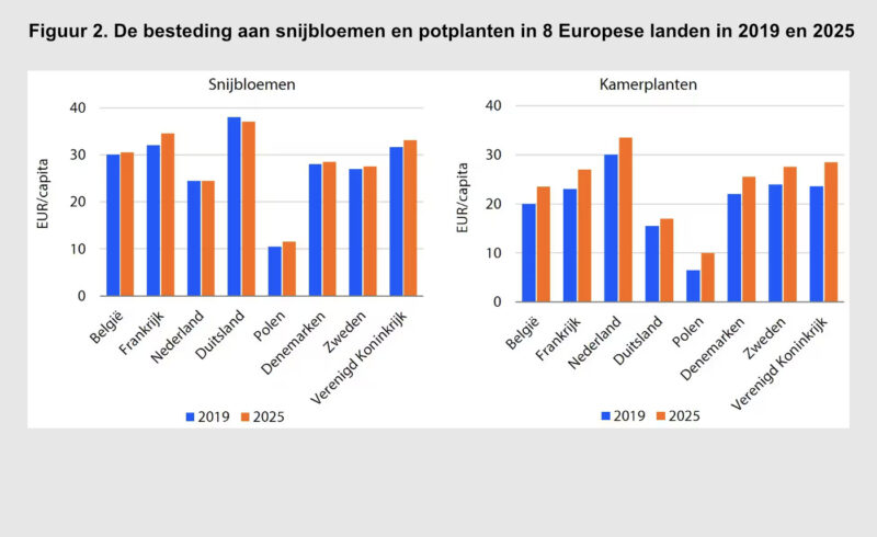 Nieuwsbrief_onderglas_AFN
