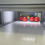 Tomaten sorteren voordat ze in de verpakkingshal aankomen