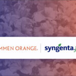Dümmen Orange en Syngenta Flowers willen krachten bundelen
