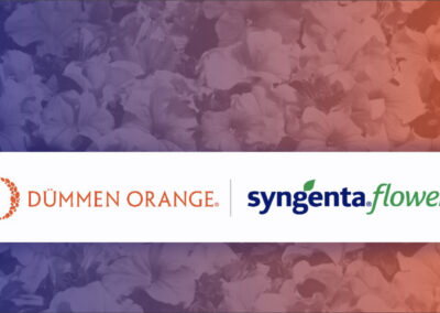 Dümmen Orange en Syngenta Flowers willen krachten bundelen