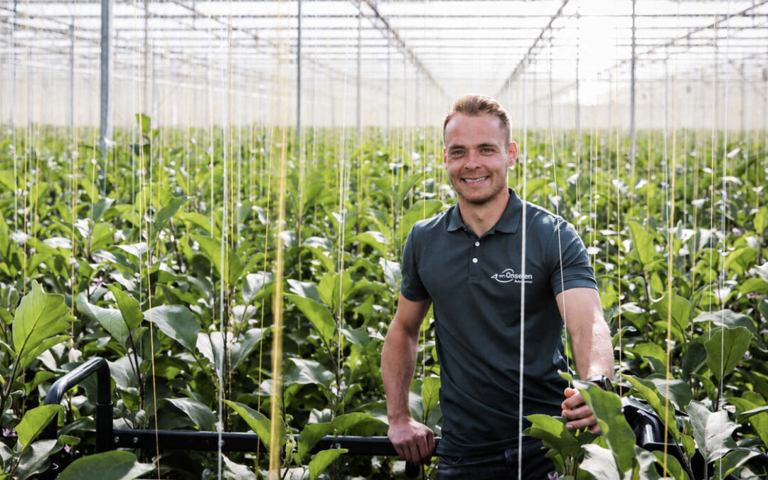 ‘Leger biologie opbouwen voor als groene perzikluis toeslaat’