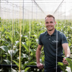 ‘Leger biologie opbouwen voor als groene perzikluis toeslaat’