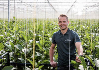 ‘Leger biologie opbouwen voor als groene perzikluis toeslaat’