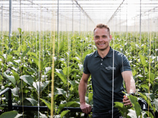 ‘Leger biologie opbouwen voor als groene perzikluis toeslaat’