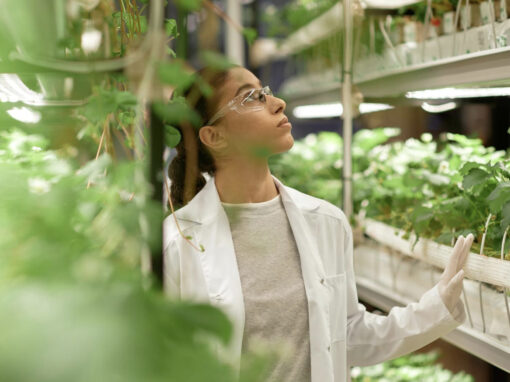 WUR begint internationaal netwerk voor gecontroleerde teelt