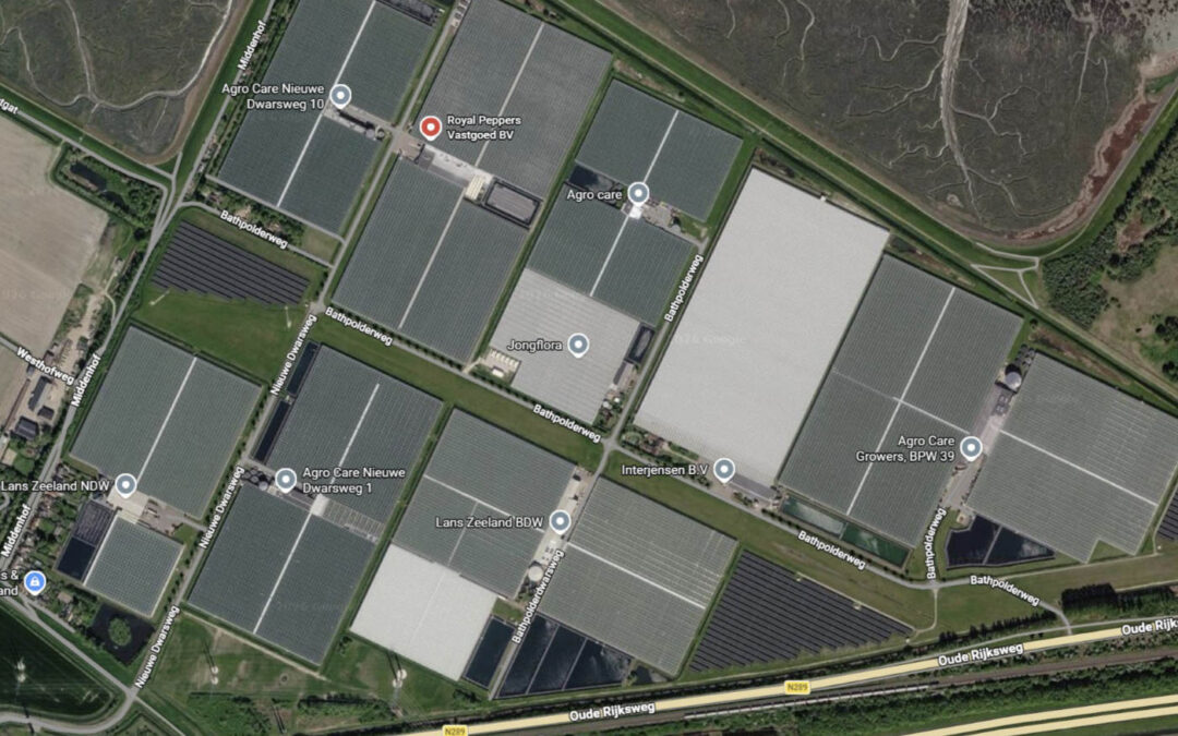Uitbreiding teeltareaal van Agro Care in Rilland met 12,2 hectare