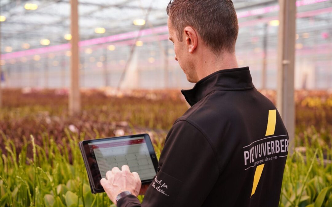 Kwekerij Piet Vijverberg wil steeds meer datagedreven opereren