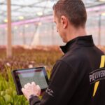 Kwekerij Piet Vijverberg wil steeds meer datagedreven opereren
