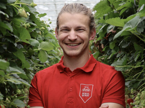 ‘Een goede plantbalans is voor doordragers cruciaal’