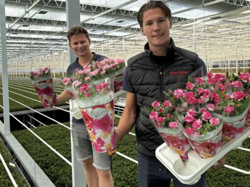 Nieuwbouw heeft verwachtingen volledig waargemaakt