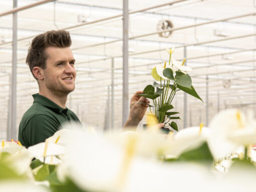 Bas van Zijl: ‘Robots maken ons werk stuk leuker en efficiënter’