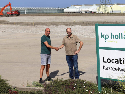 KP Holland bouwt nieuwe hightech kas en verwerkingsruimte