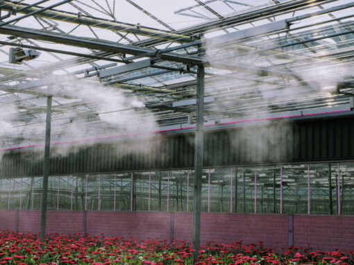 Zomerklimaat wordt steeds grotere uitdaging in de kas