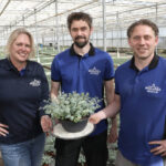 ‘Plant is niet kapot te krijgen, met prachtige bloemen in najaar’