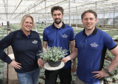 ‘Plant is niet kapot te krijgen, met prachtige bloemen in najaar’