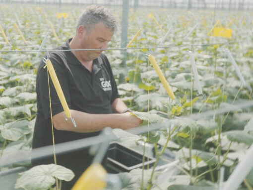 Van Gog Kwekerijen krijgt met IIVO meer flexibiliteit en controle