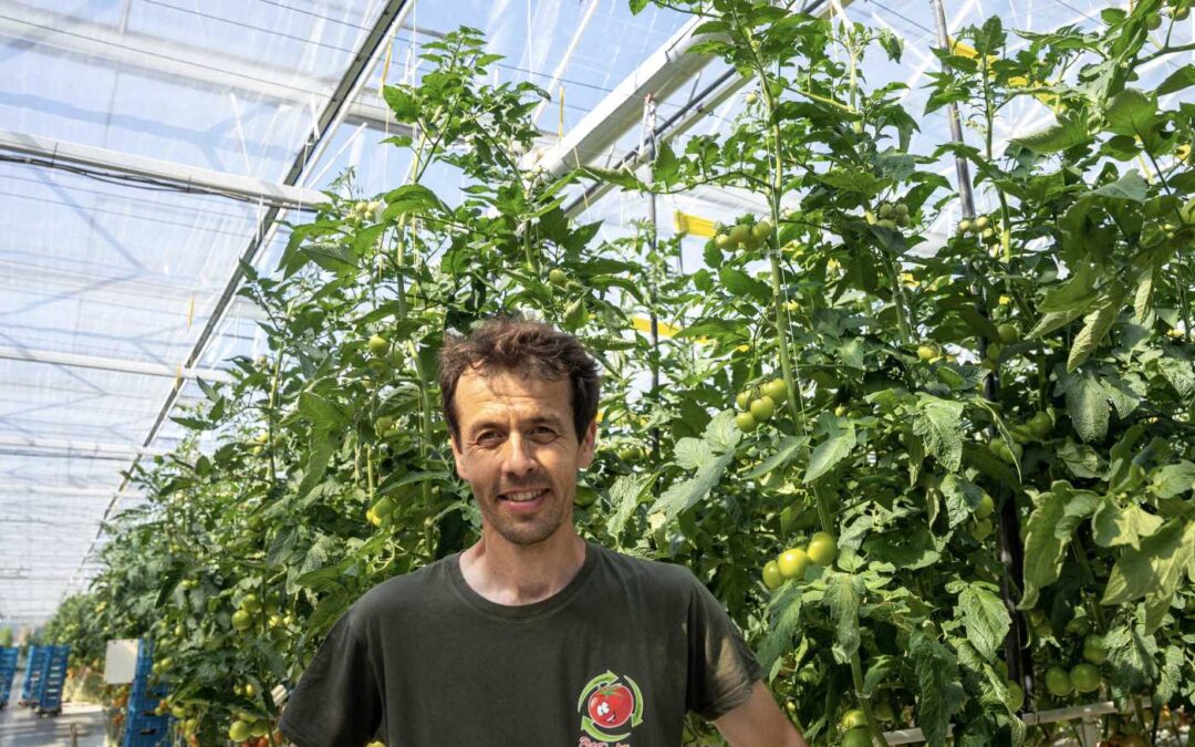 ‘Ik kan langer schermen met meer lichtdoorlatend energiedoek’