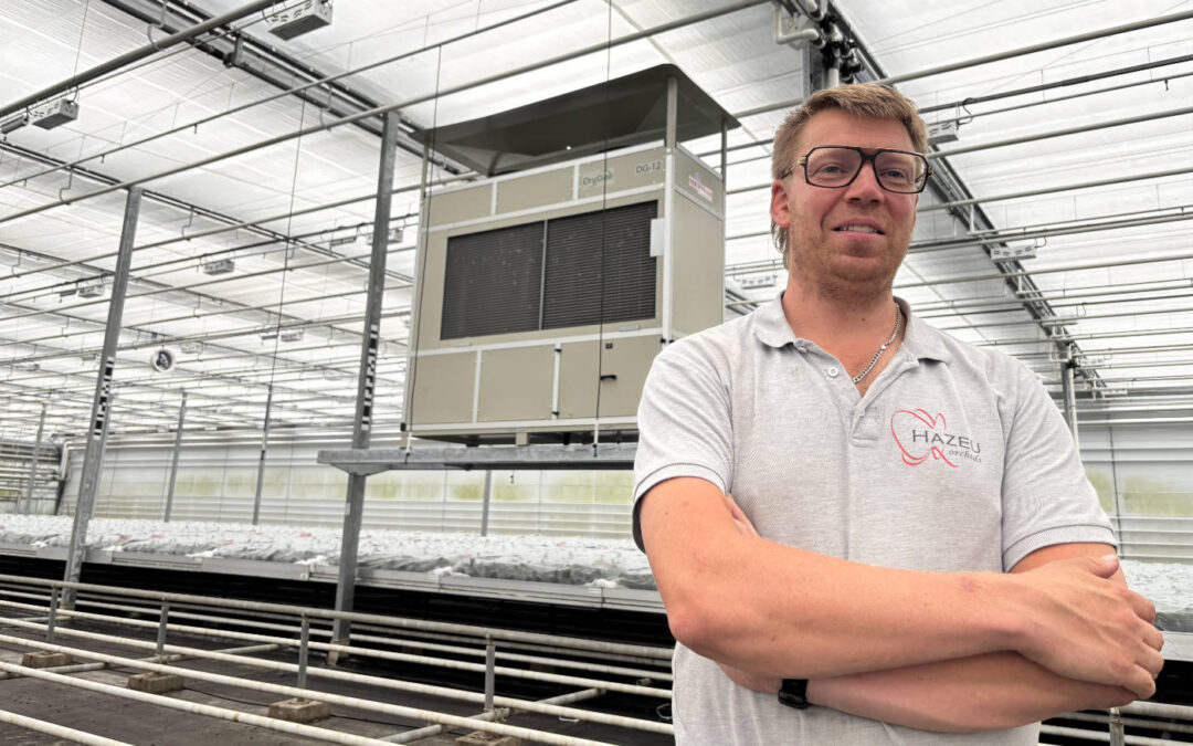 Chiel Hazeu: ‘Een stabiel kasklimaat en lagere energievraag’