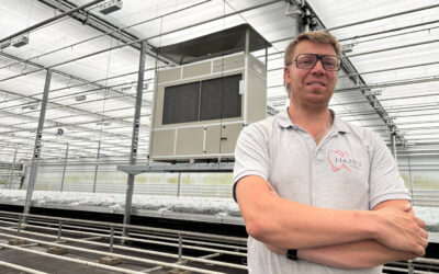 Chiel Hazeu: ‘Een stabiel kasklimaat en lagere energievraag’