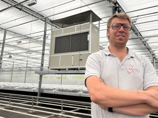 Chiel Hazeu: ‘Een stabiel kasklimaat en lagere energievraag’