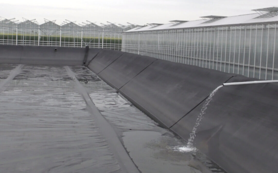 Delfland loost bruikbaar water op zee en zet glastuinbouw droog
