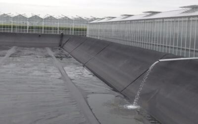 Delfland loost bruikbaar water op zee en zet glastuinbouw droog