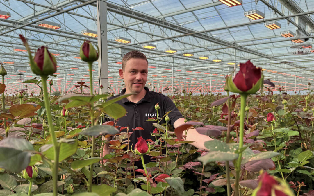 ‘Temperatuurverschil beperkt tot één graad dankzij schermen’