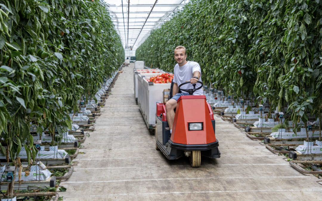 Maik de Groot: ‘In de zomermaanden liep het toch uit de hand’