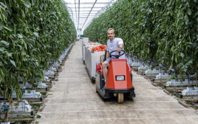Maik de Groot: ‘In de zomermaanden liep het toch uit de hand’