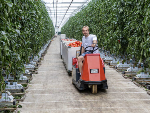 Maik de Groot: ‘In de zomermaanden liep het toch uit de hand’