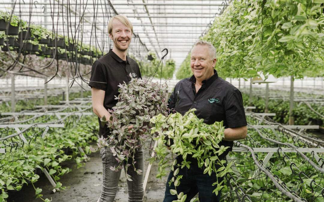 ‘Rustig groeien, zonder extra verwarming of belichting’