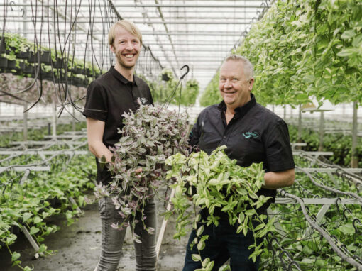 ‘Rustig groeien, zonder extra verwarming of belichting’