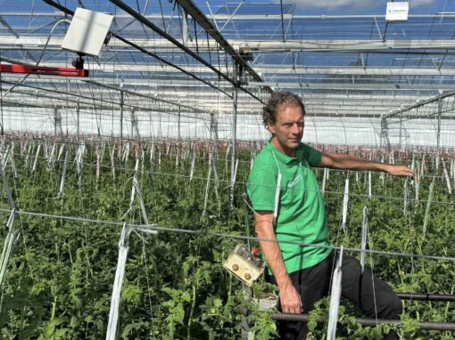 ‘Autonome teelt houdt tuinbouw leuk voor nieuwe generatie’
