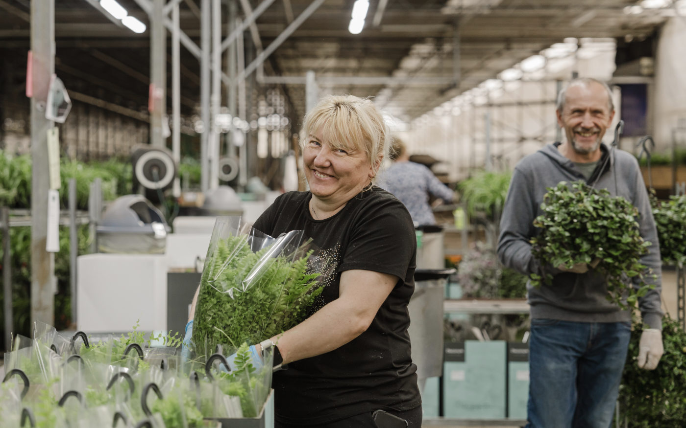 Nieuwsbrief_onderglas_AFN
