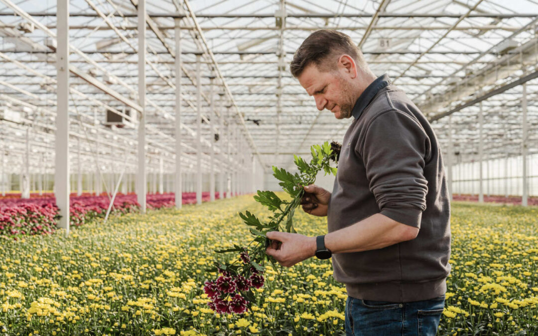 ‘Telen zonder chemie kan, maar vraagt om verdere optimalisatie’