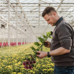 ‘Telen zonder chemie kan, maar vraagt om verdere optimalisatie’