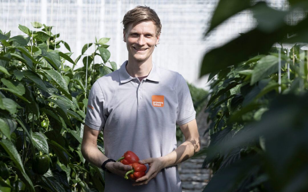‘Bankerplant geeft voorzichtig vertrouwen voor vervolg’