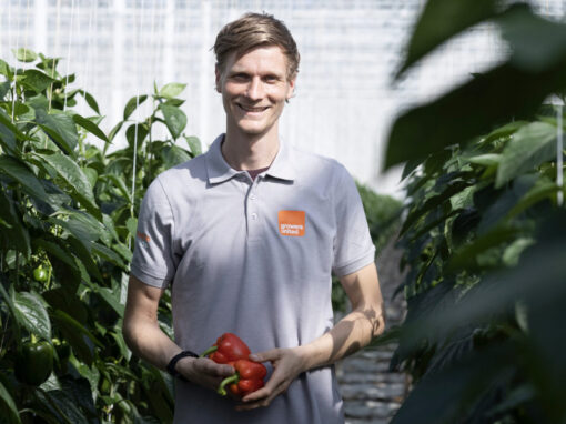 ‘Bankerplant geeft voorzichtig vertrouwen voor vervolg’